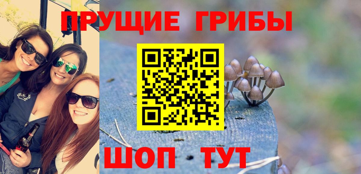 Галлюциногенные грибы мицелий  Вход с VPN  Гудермес  Галлюциногенные грибы Psilocybe 