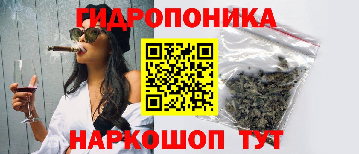 Каннабис сатива Гудермес